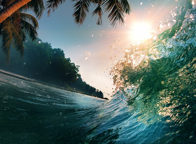 Wallpaper ocean, waves, palm, 5K, Nature 8225917120